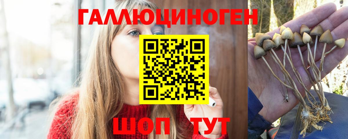 Галлюциногенные грибы GOLDEN TEACHER Кубинка
