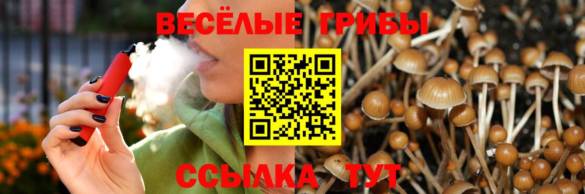 Псилоцибиновые грибы мухоморы  Вход с VPN  Галлюциногенные грибы MAGIC MUSHROOMS  Кубинка 
