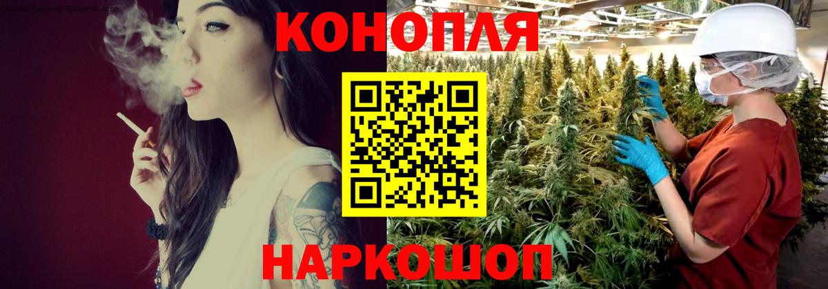 Каннабис конопля Кубинка